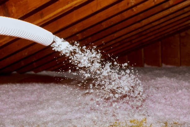 Best Insulation Inspection Services  in Edgeworth, PA