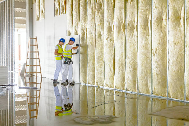 Insulation Repair Services